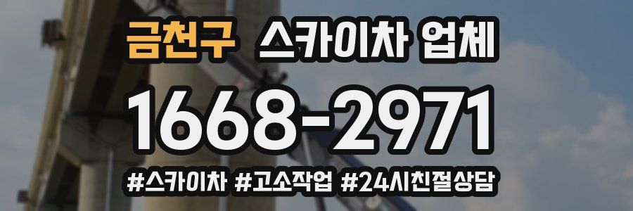 금천구 스카이차 업체