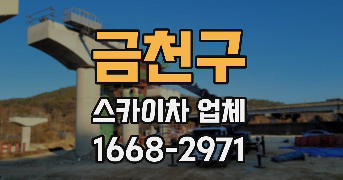 금천구 스카이차 업체