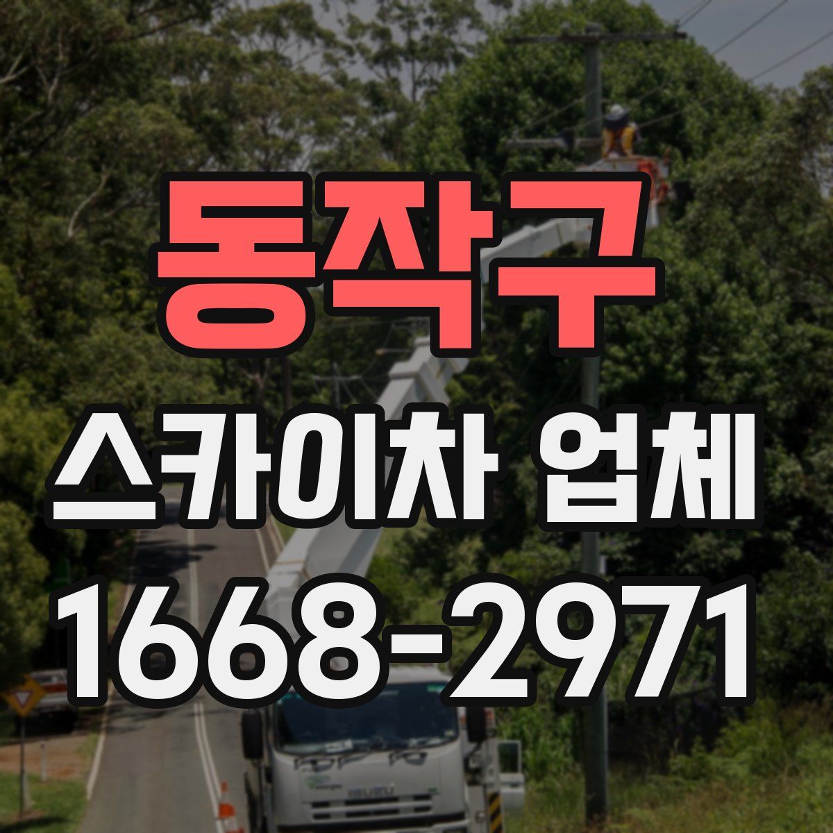 동작구 스카이차 업체