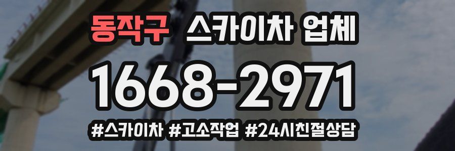 동작구 스카이차 업체