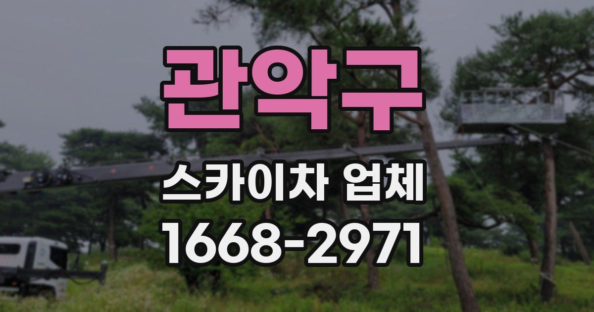 관악구 스카이차 업체