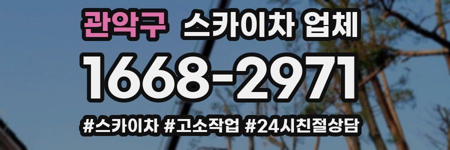 관악구 스카이차 업체