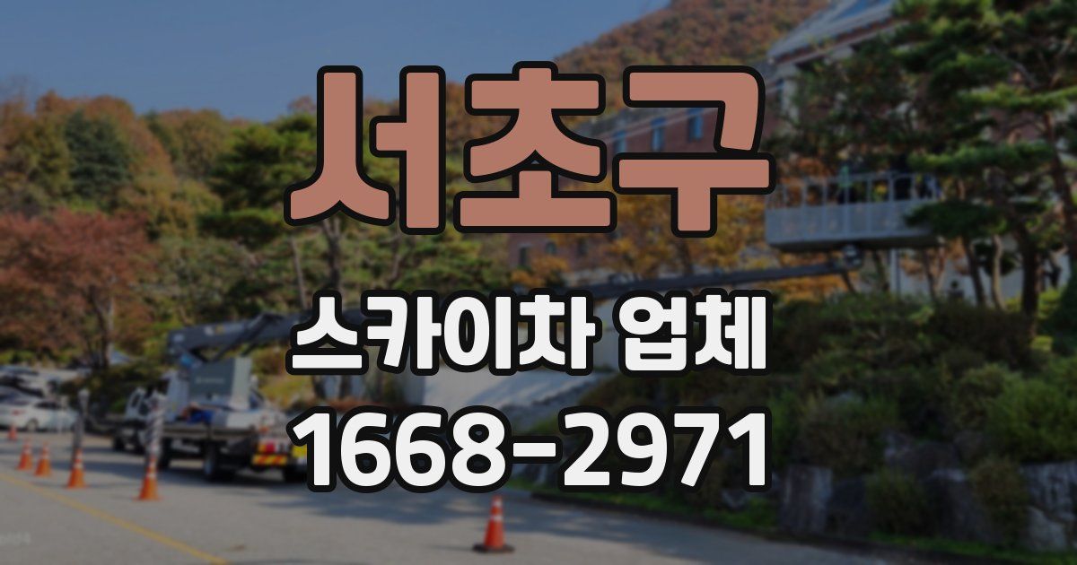 서초구 스카이차 업체