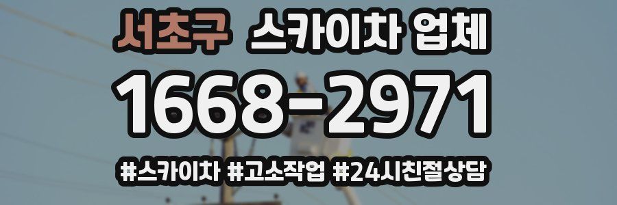 서초구 스카이차 업체