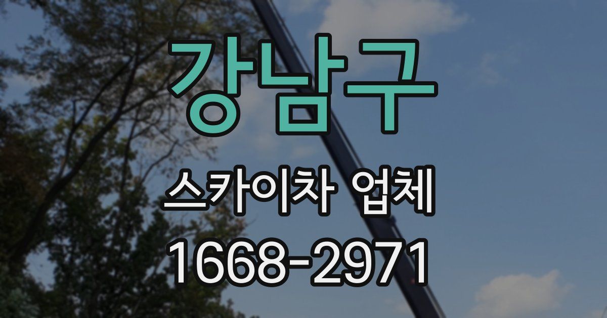 강남구 스카이차 업체