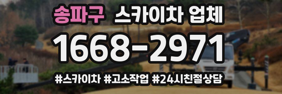 송파구 스카이차 업체
