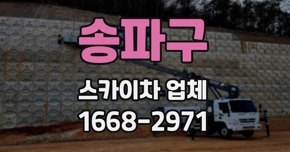 송파구 스카이차 업체