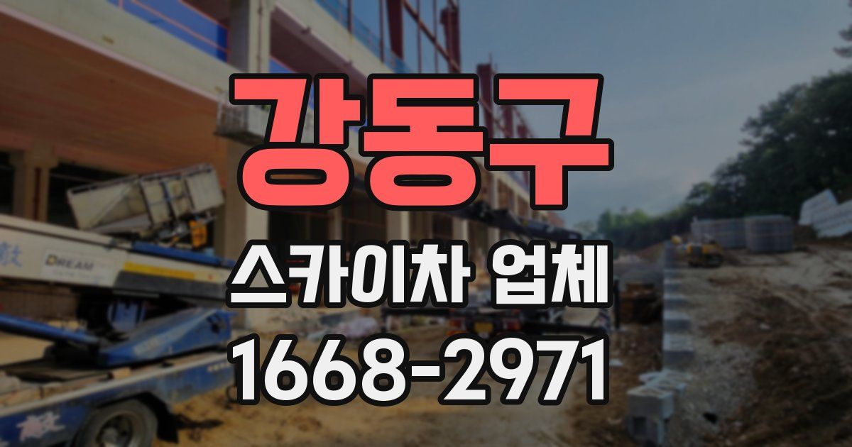 강동구 스카이차 업체