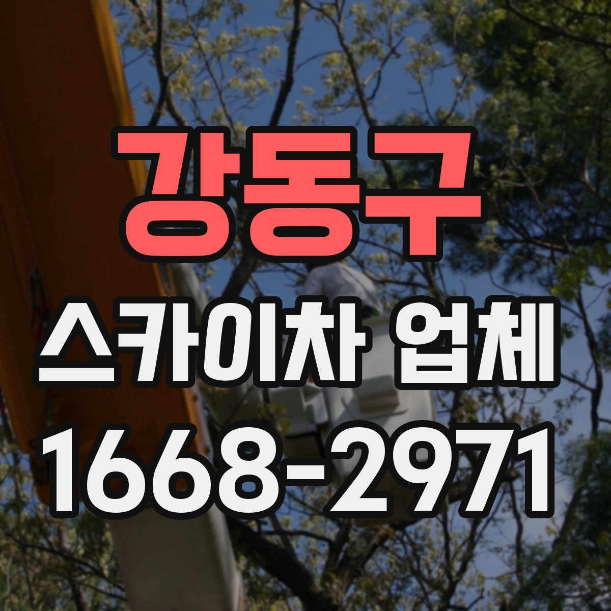 강동구 스카이차 업체
