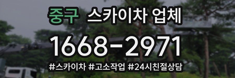 중구 스카이차 업체