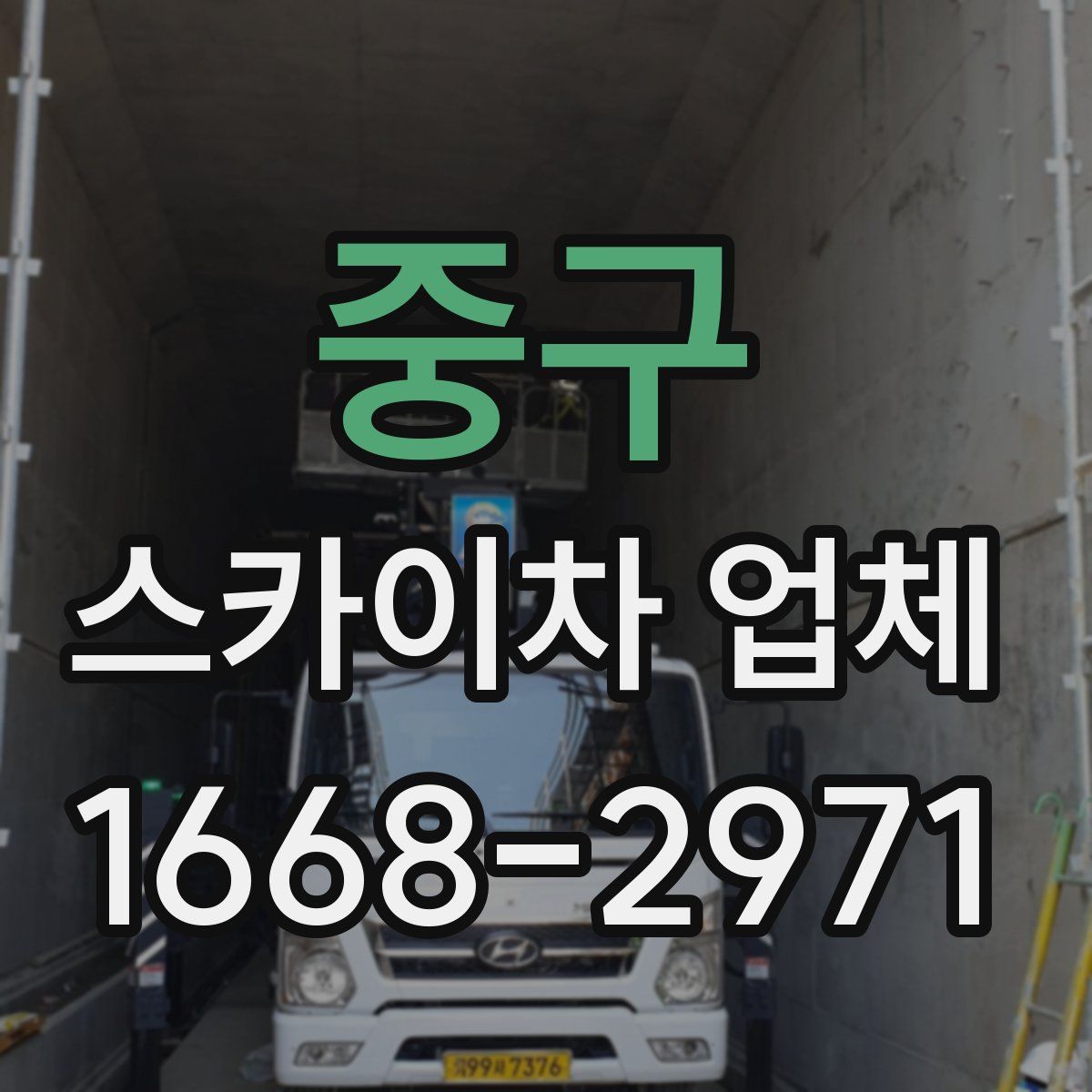 중구 스카이차 업체