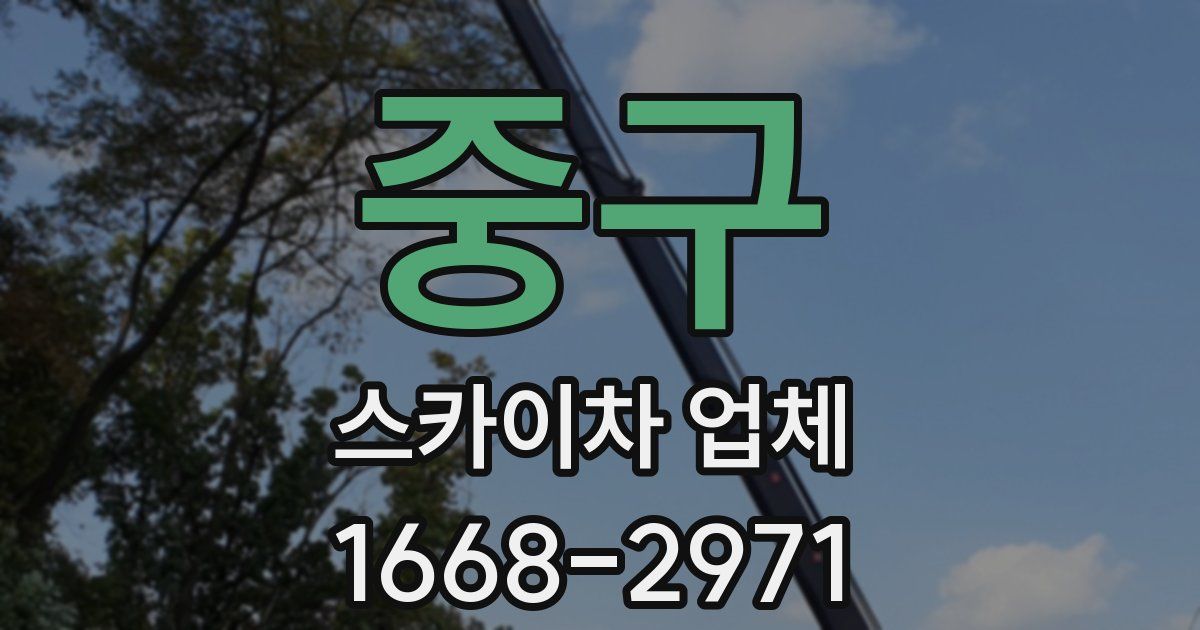 중구 스카이차 업체