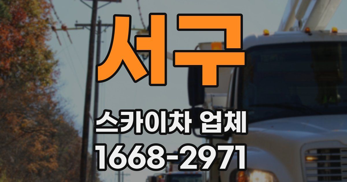 서구 스카이차 업체