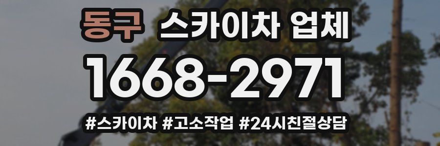 동구 스카이차 업체