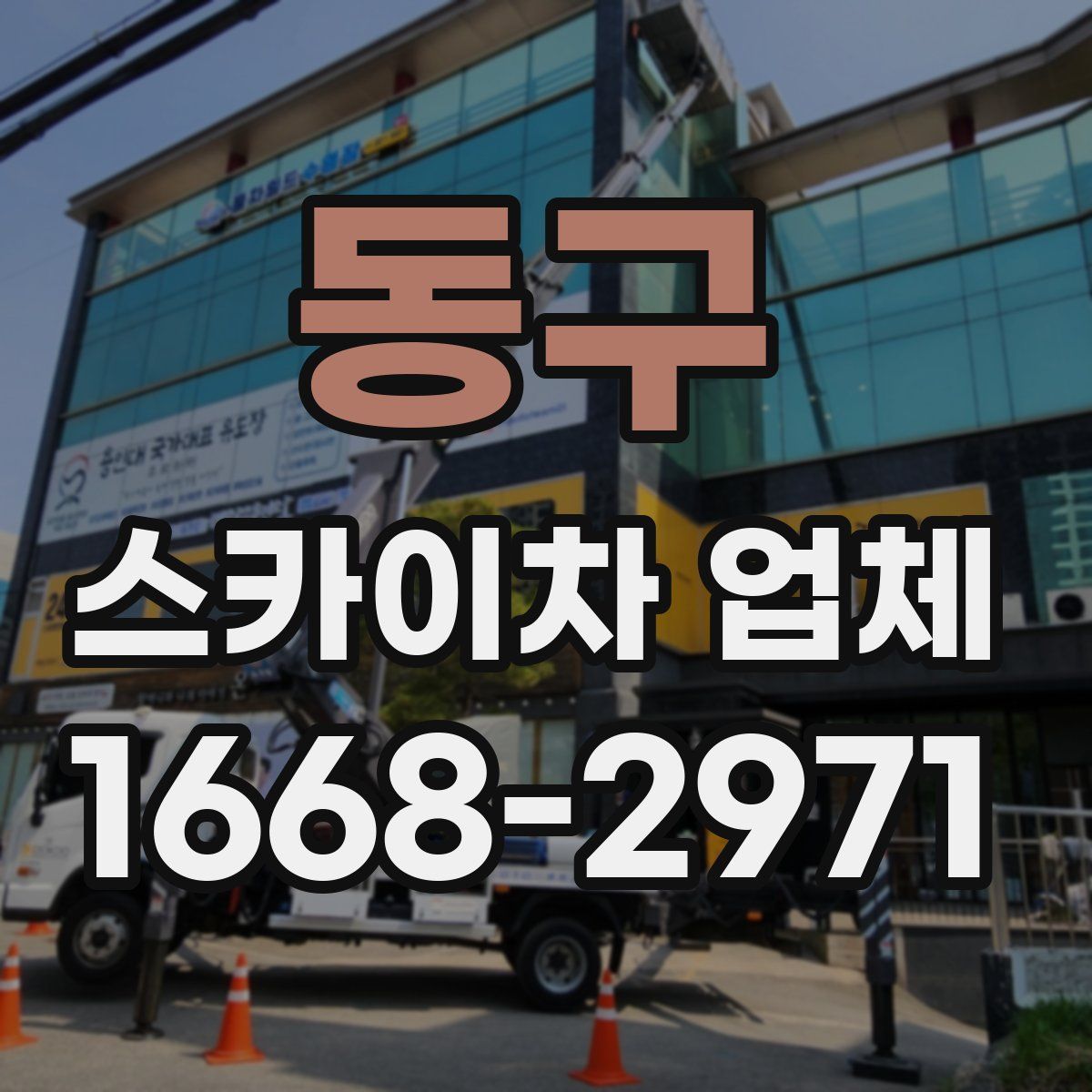 동구 스카이차 업체