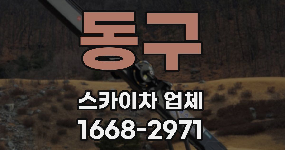 동구 스카이차 업체