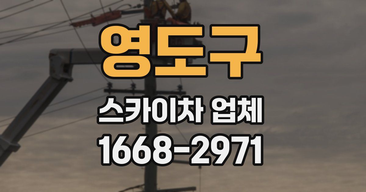영도구 스카이차 업체