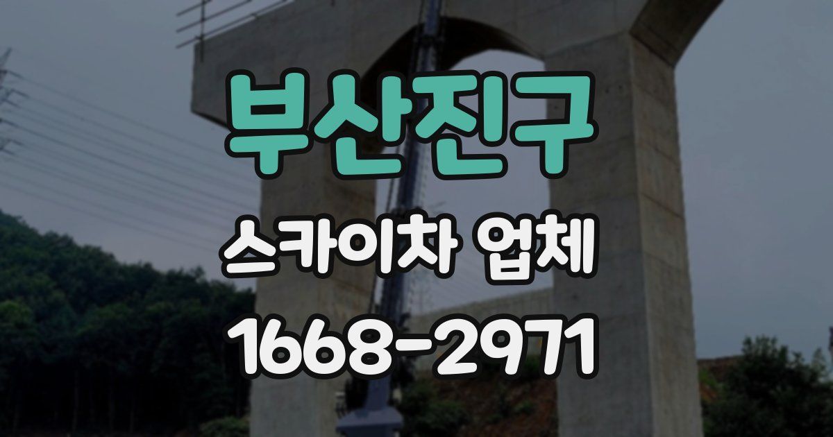 부산진구 스카이차 업체