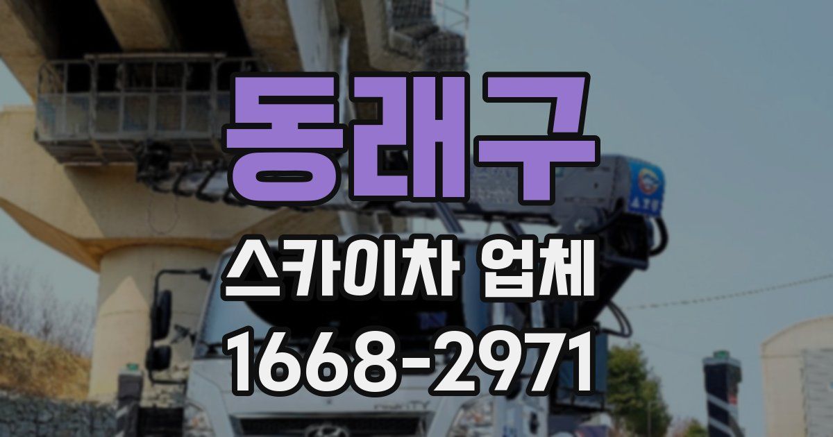 동래구 스카이차 업체