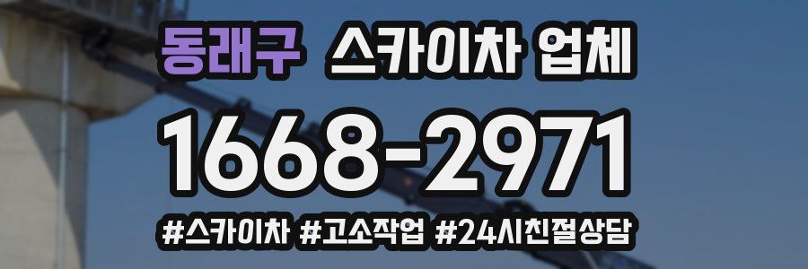 동래구 스카이차 업체