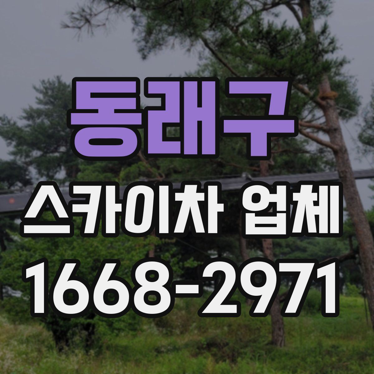 동래구 스카이차 업체