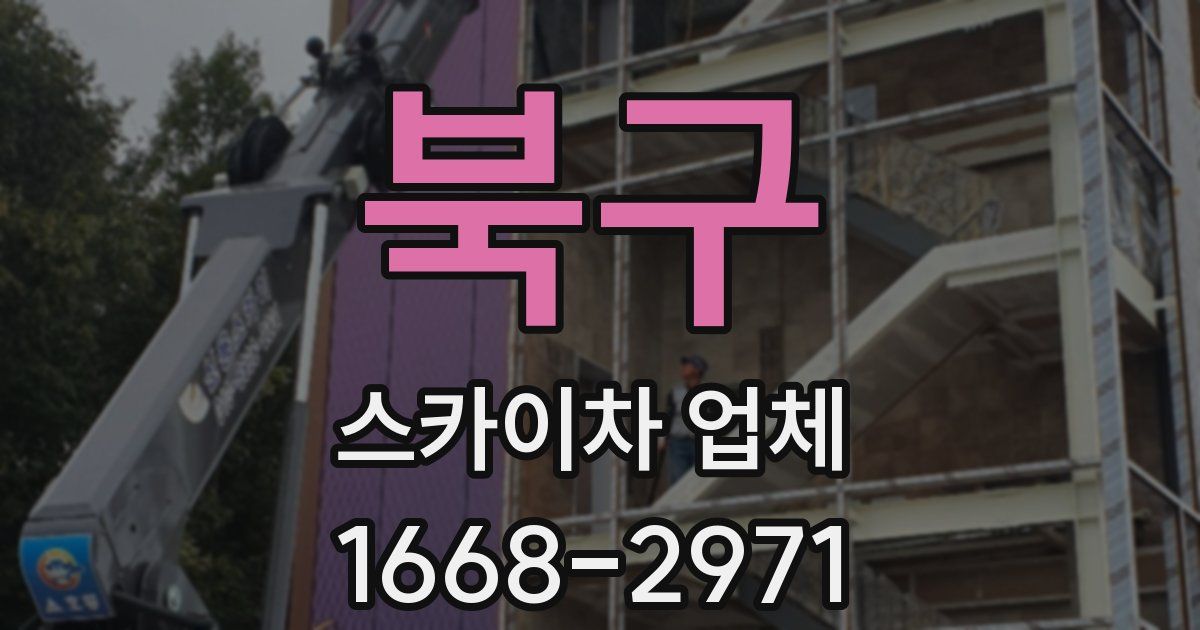 북구 스카이차 업체
