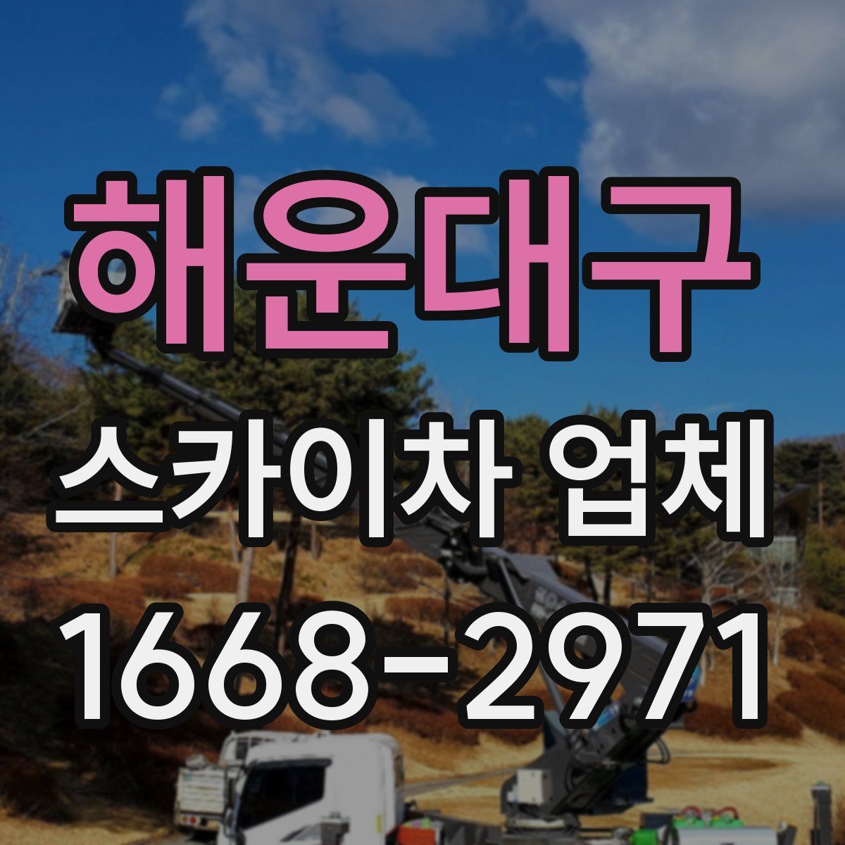 해운대구 스카이차 업체