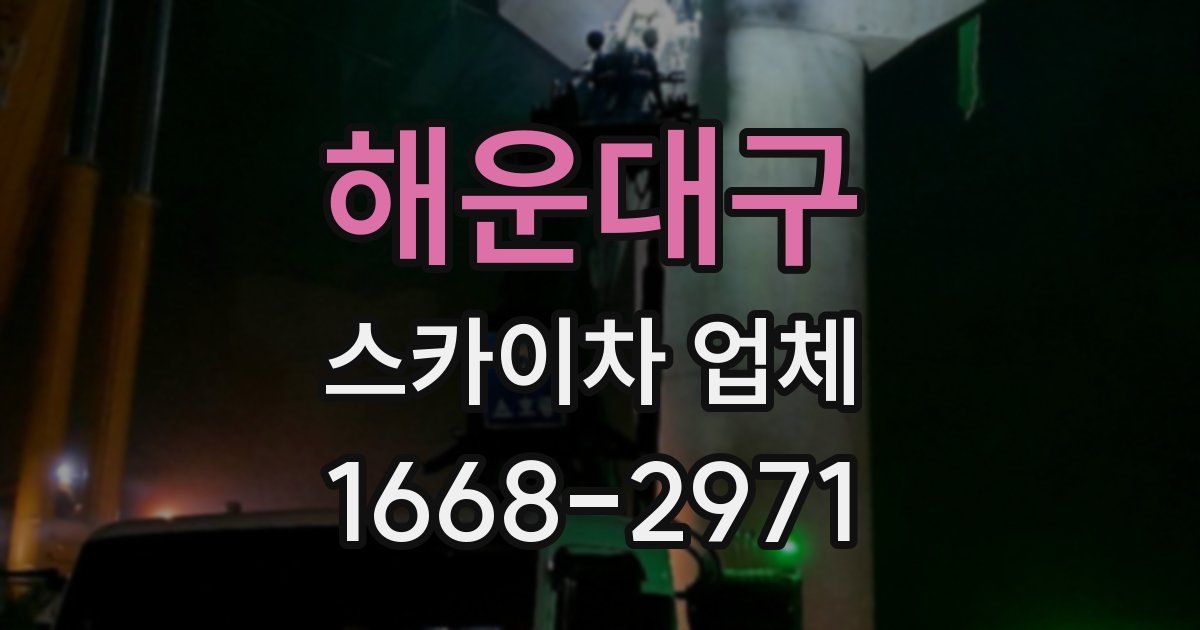 해운대구 스카이차 업체