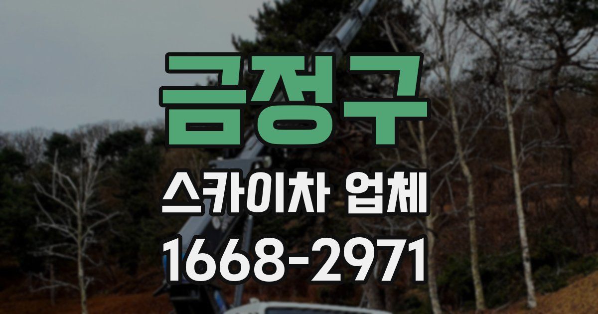 금정구 스카이차 업체