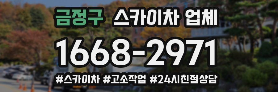 금정구 스카이차 업체