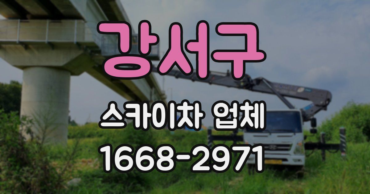 강서구 스카이차 업체