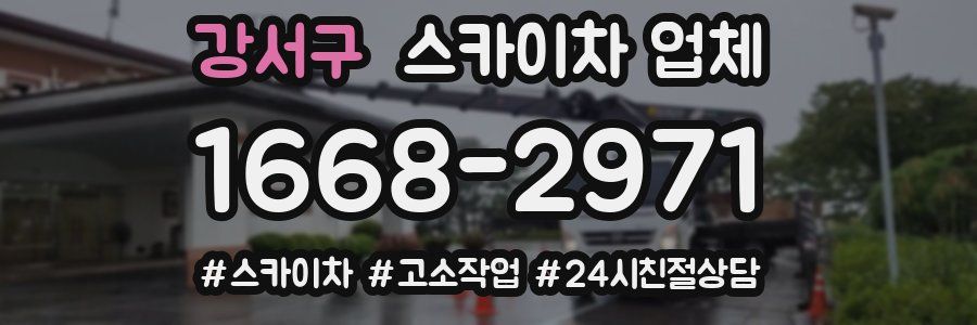 강서구 스카이차 업체