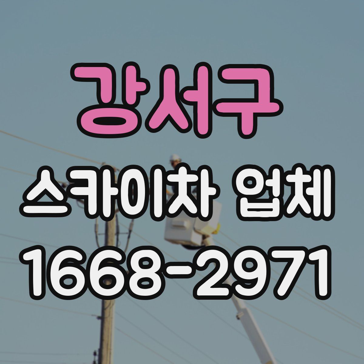 강서구 스카이차 업체