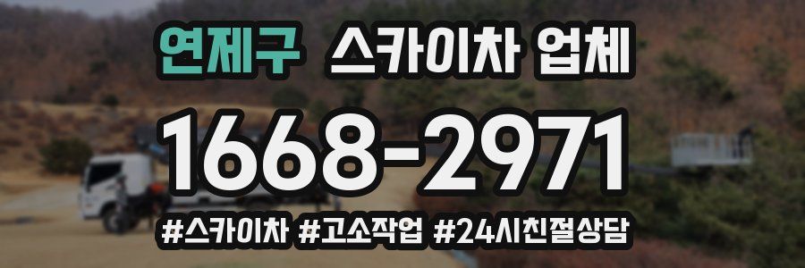 연제구 스카이차 업체