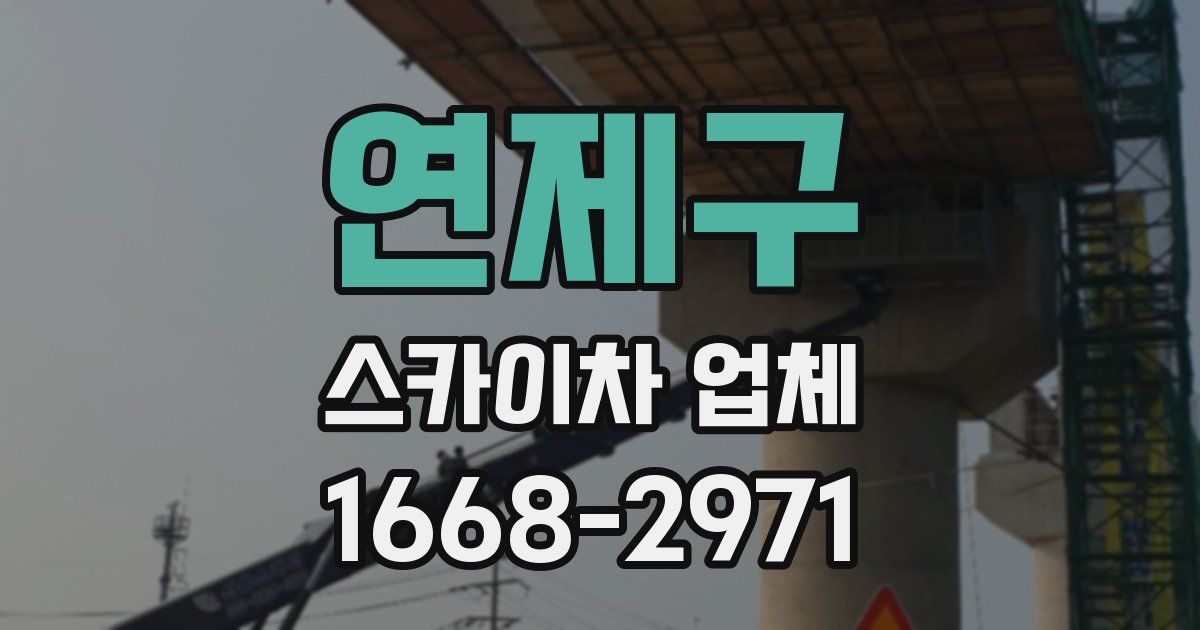 연제구 스카이차 업체