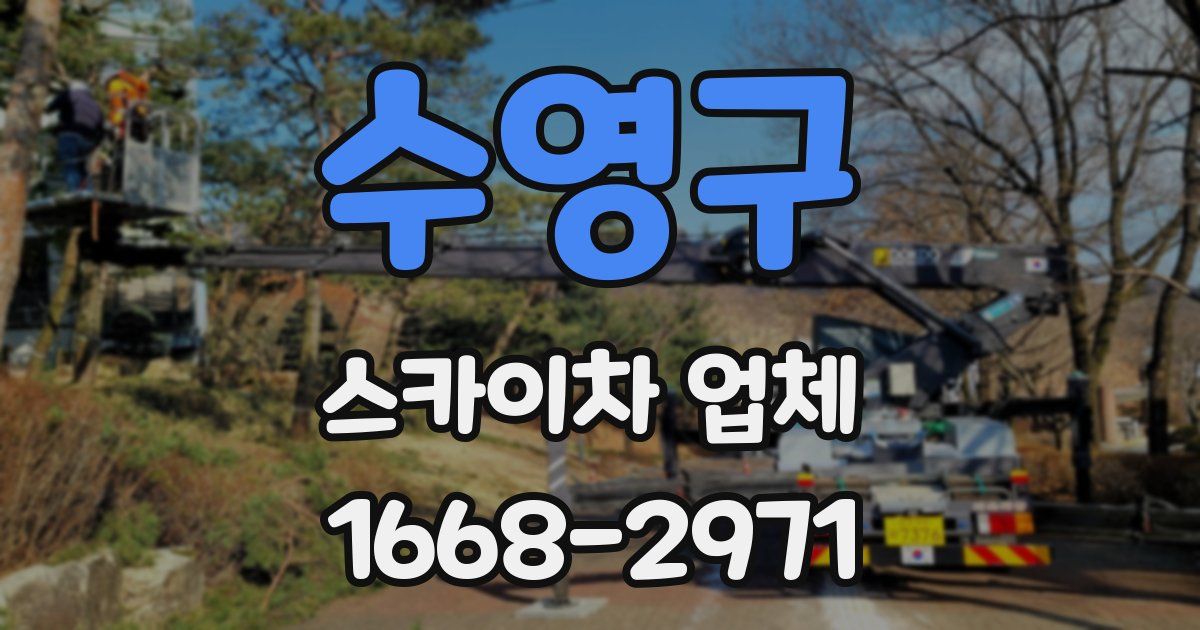 수영구 스카이차 업체