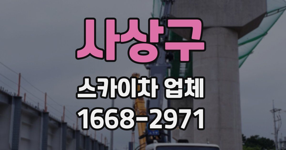 사상구 스카이차 업체