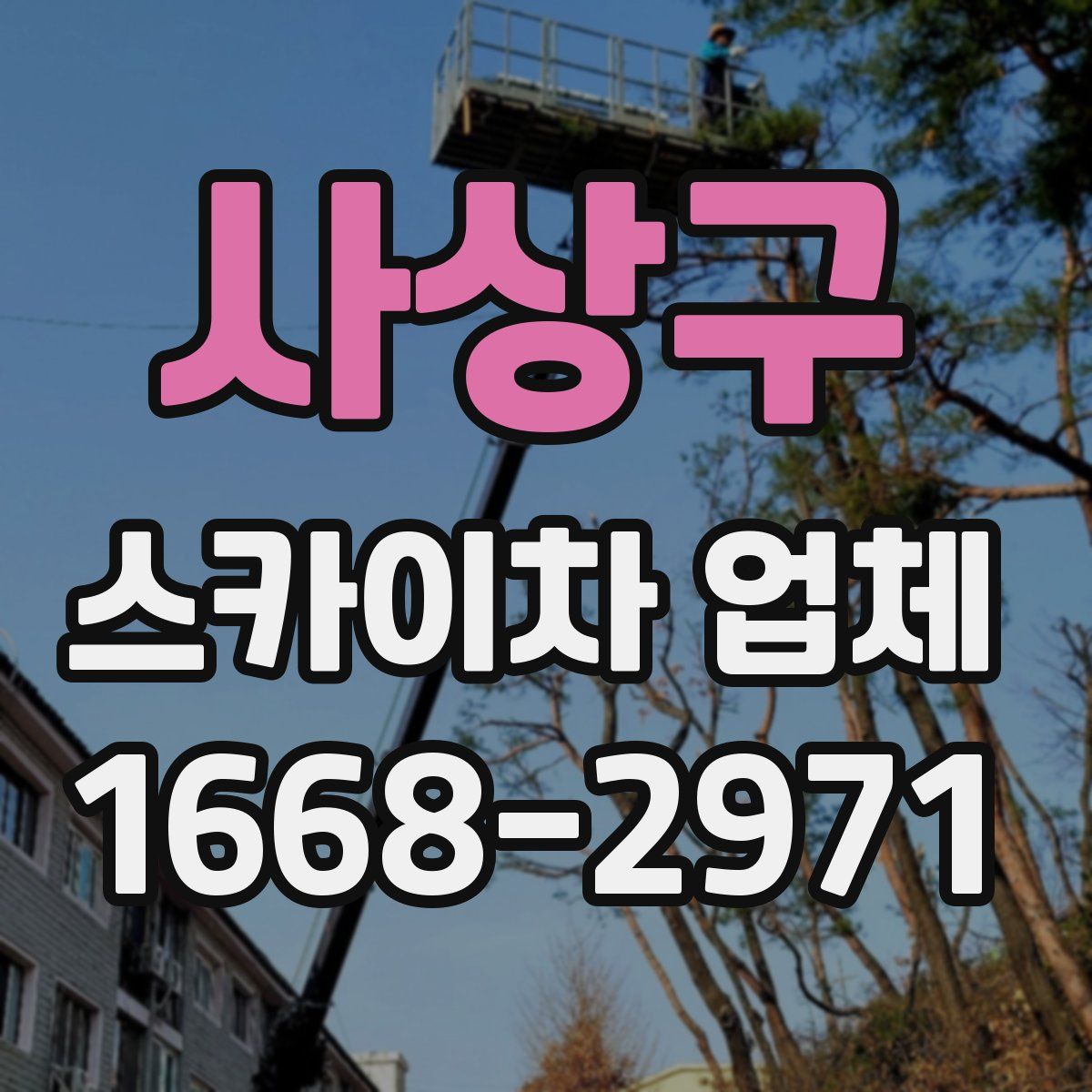 사상구 스카이차 업체
