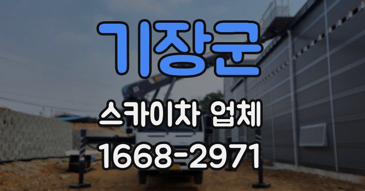 기장군 스카이차 업체