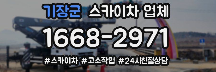 기장군 스카이차 업체