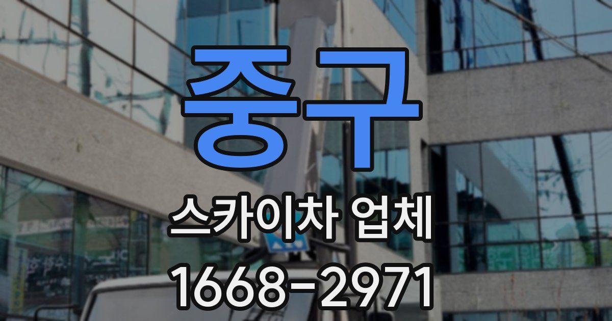 중구 스카이차 업체