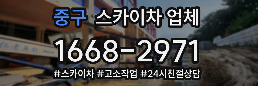 중구 스카이차 업체