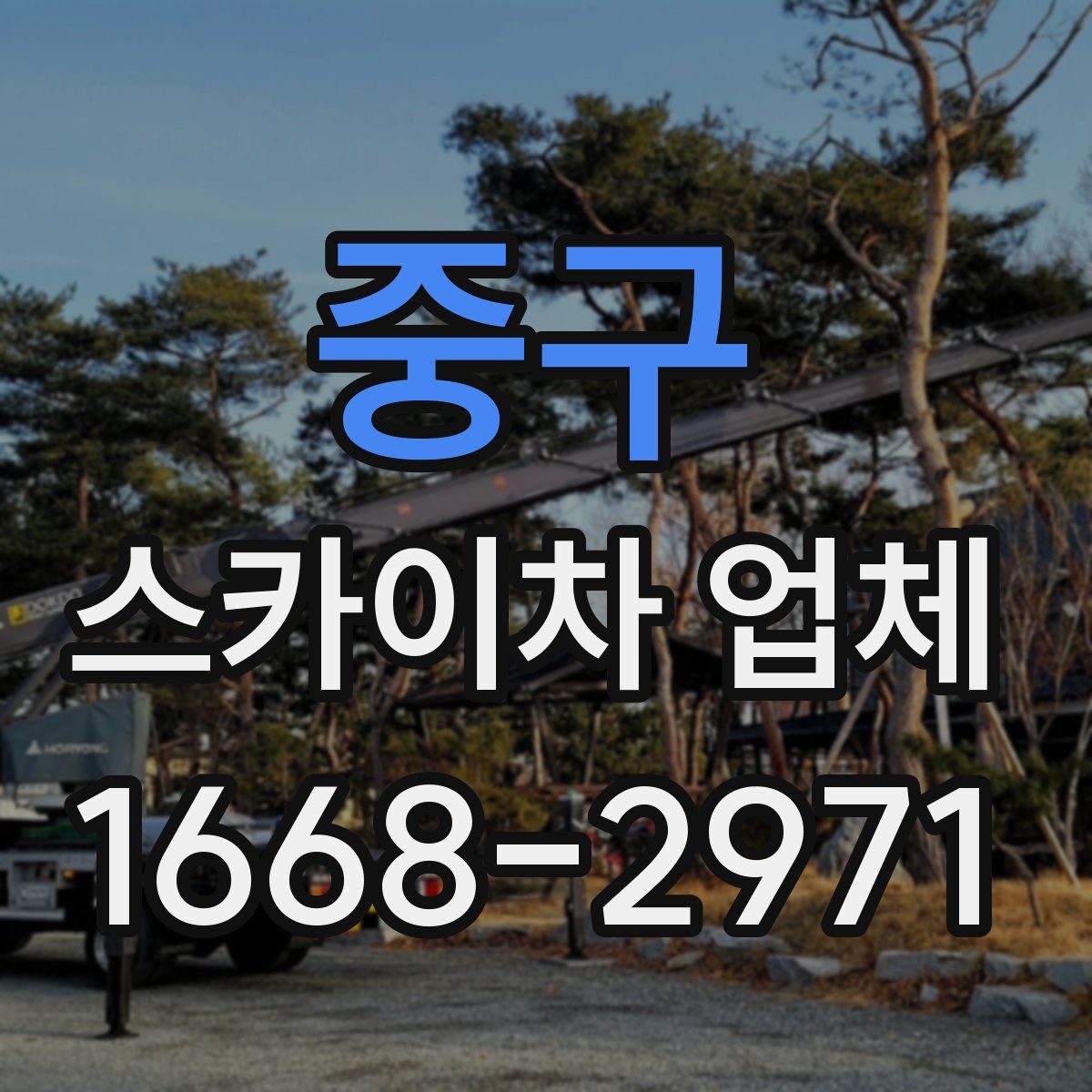 중구 스카이차 업체