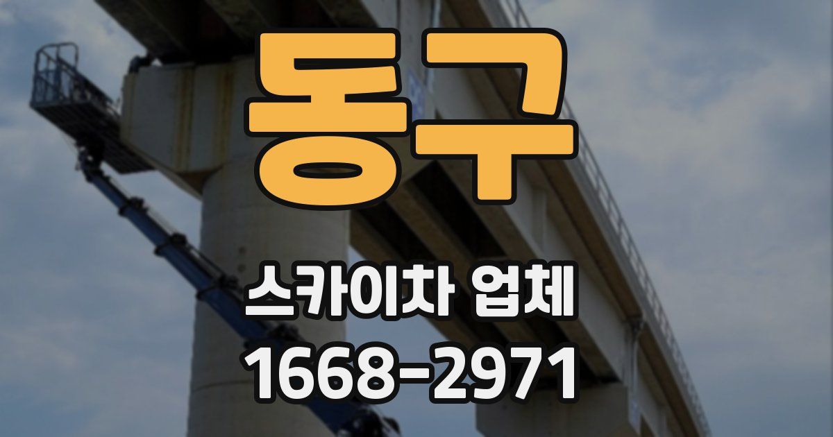 동구 스카이차 업체