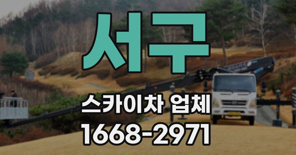 서구 스카이차 업체