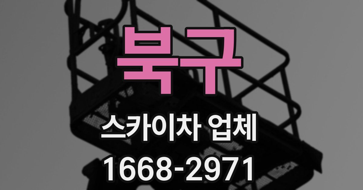 북구 스카이차 업체