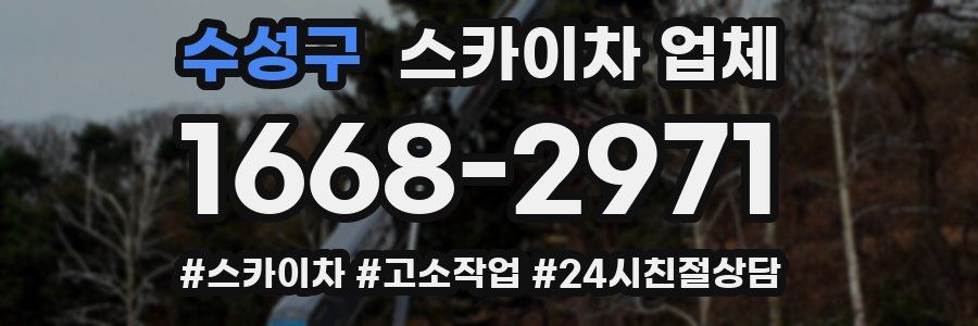 수성구 스카이차 업체