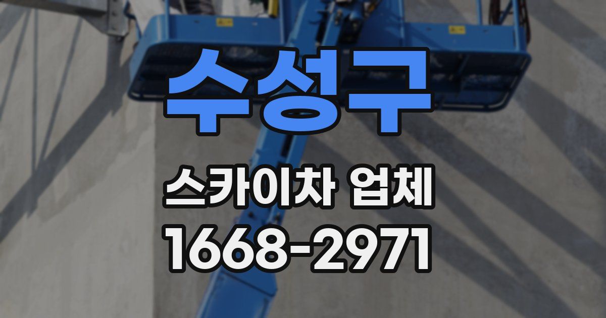 수성구 스카이차 업체