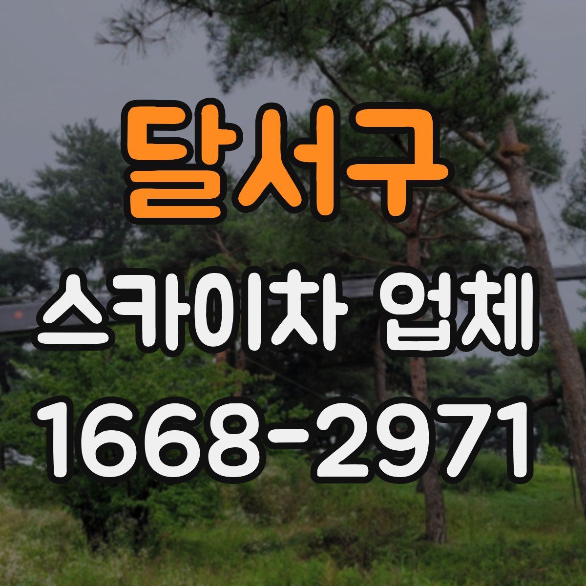 달서구 스카이차 업체