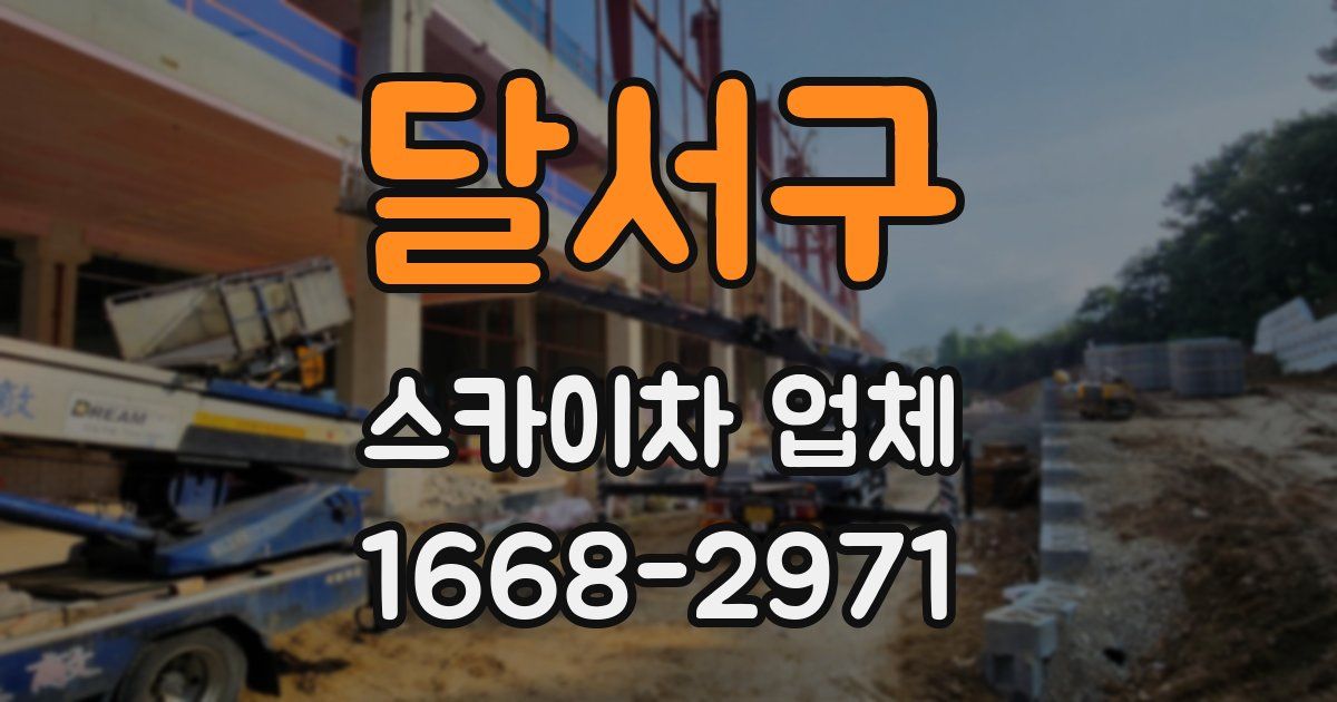 달서구 스카이차 업체